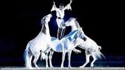 Une troupe de spectacle équestre porte le nom d'un cheval. Comment s'appelle-t-elle ?