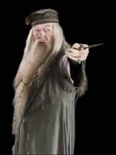 Qui a tué Dumbledore ?
