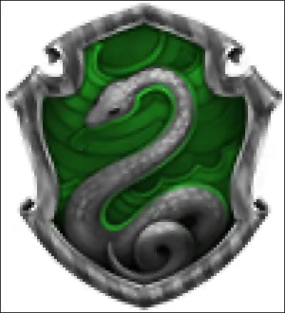 Qui est le directeur ou la directrice de Serpentard ?