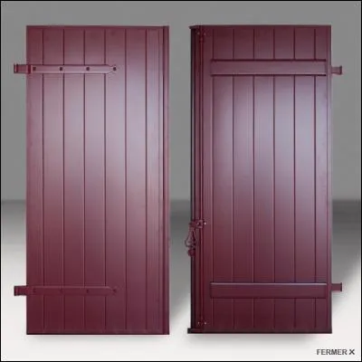 Quel est ce sport ? Le ...ball