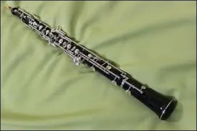 Le soir, nous avons eu une grosse répétition pour le "bad folk" du printemps. Il y avait des ..., des violons, des guitares, des flûtes à bec, des flûtes traversières, des djembés, des violoncelles, des accordéons... Un superbe orchestre.