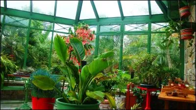 Il cultivait son jardin, mais son jardin d'hiver !