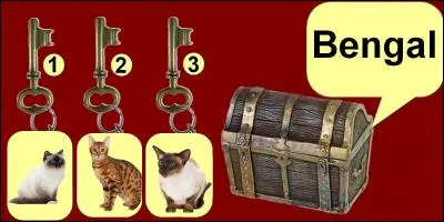 Quelle clef allez-vous choisir ?