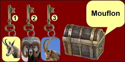 Quelle clef allez-vous choisir ?