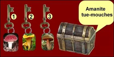 Quelle clef allez-vous choisir ?