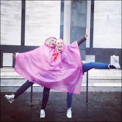 Quelles sont ses professions ?