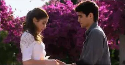 Lequel de ces couples s'est formé quand Violetta est arrivée ?