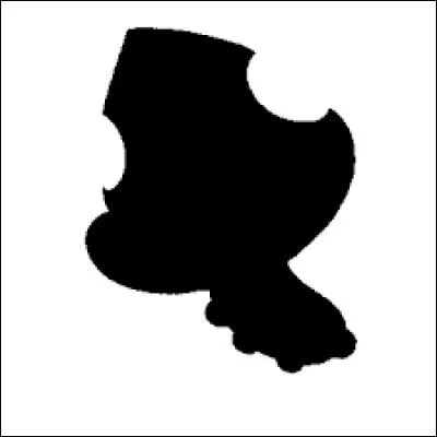 Quel est ce Pokémon ?