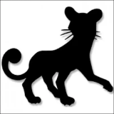 Quel est ce Pokémon ?