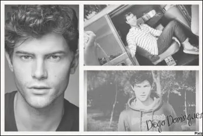 Comment s'appelle l'acteur qui joue Diego ?