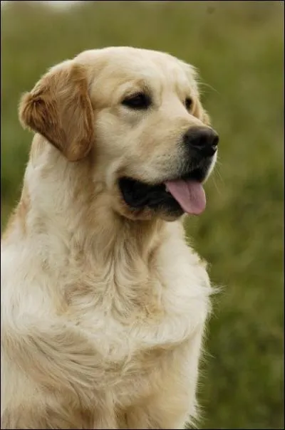 Quel est son caractère ?