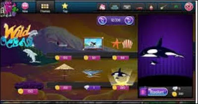 Peux-tu acheter des objets pour ta chambre sur "MovieStarPlanet" ?