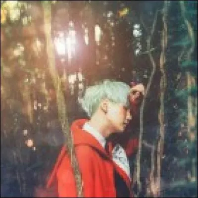 Qui est le modèle de Suga (parmi les propositions) ?