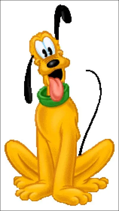 Comment s'appelle ce chien ?