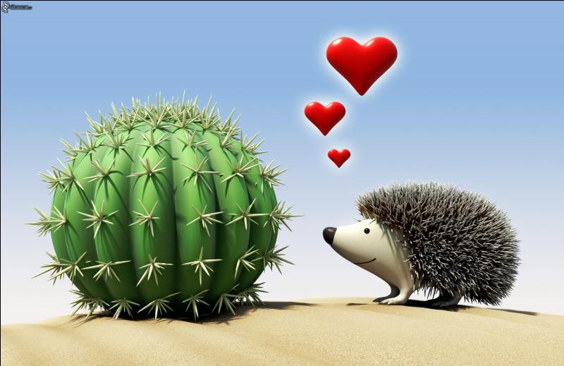 Que dit un hérisson qui se cogne à un cactus ?