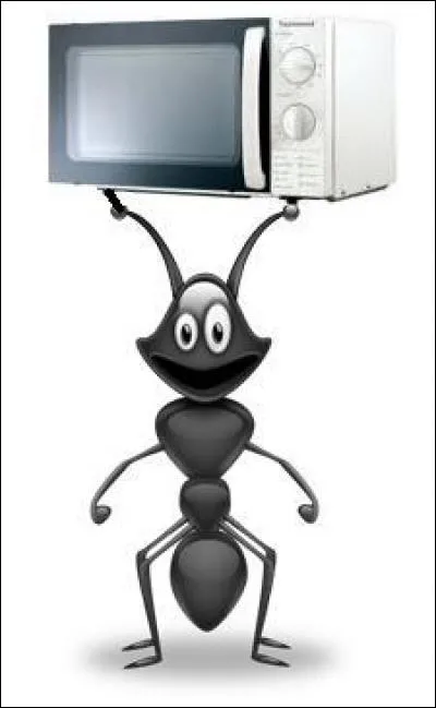 Le chien aboie, 
Le chacal jappe, 
Le cheval hennit, 
La fourmi...