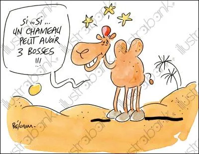 Qu'est-ce qui a 3 bosses ?