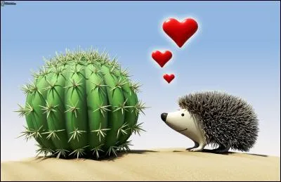 Que dit un hérisson qui se cogne à un cactus ?