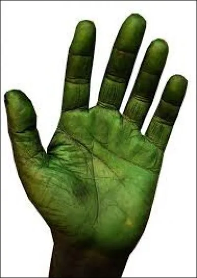 De quelle couleur est votre main si vous êtes en harmonie avec la nature ?