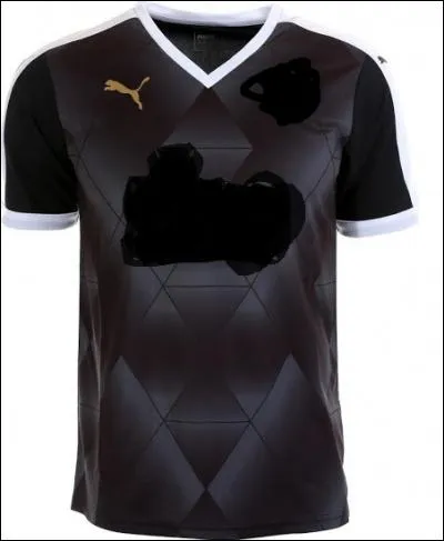 Ce maillot est celui de :