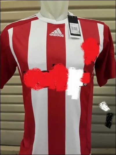 Ce maillot est celui de :