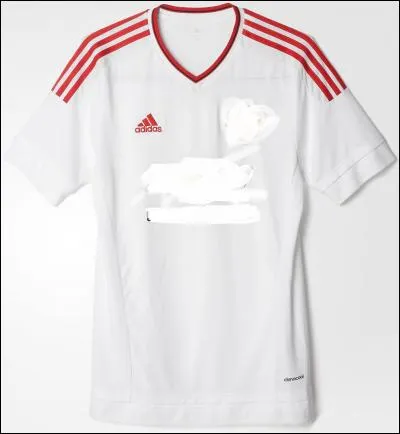 Ce maillot est celui de :