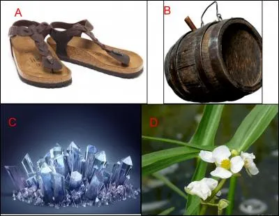 Une sagette, c'est :