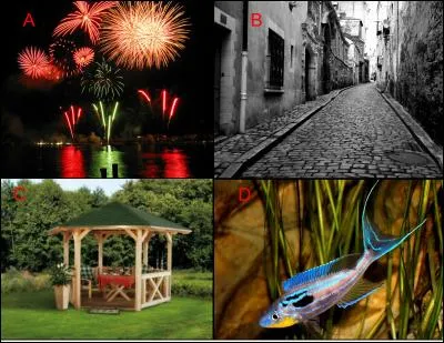 Une gloriette, c'est :