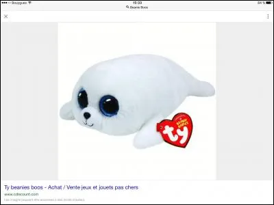 Comment s'appel t-il ?