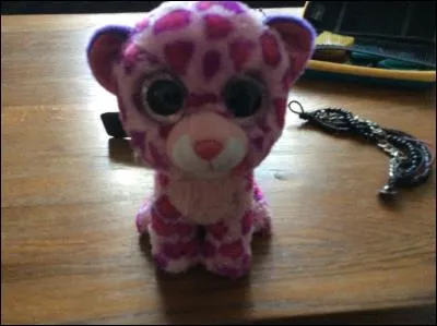 Le léopard rose et violet, comment s'appelle t-il ?