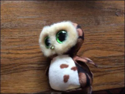 Ohhhh ! Trop mimi, un bébé chouette ! Comment se nomme t-il