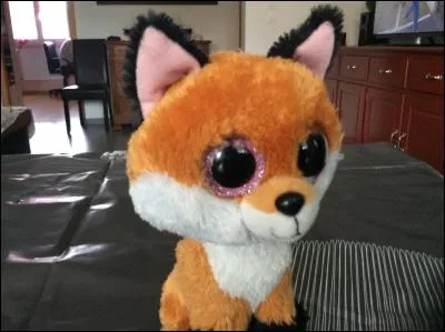 Ce petit renard roux s'appelle :