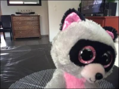 Coucou toi, qui es-tu ?