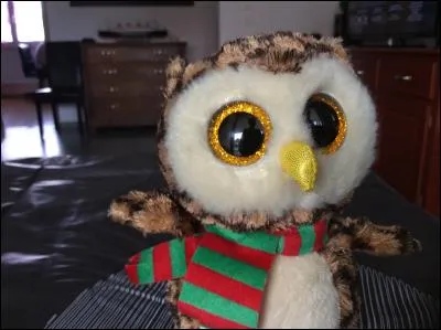 J'ai cet hibou. Comment l'ai-je appelé ?