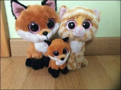 Comment se nomme la collection (au complet)