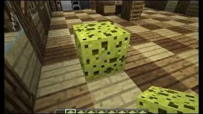 Les éponges existaient-elles avant la laine jaune ?