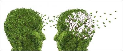 Quel est souvent le premier symptôme de la maladie d'Alzheimer ?