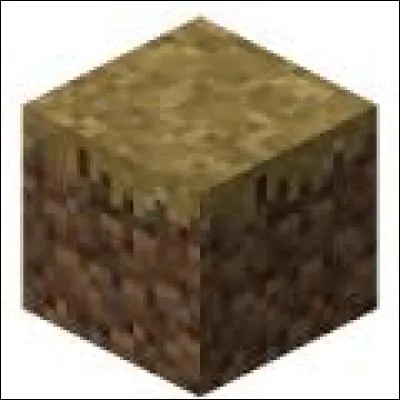 Quel outil est utilisé pour transformer un bloc d'herbe en ce bloc ?