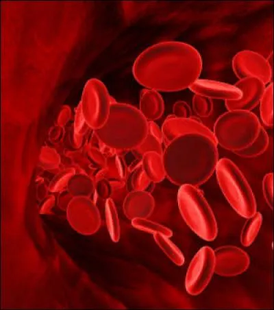 Quel est le nom de cette maladie h&eacute;r&eacute;ditaire qui provoque une incapacit&eacute; du sang &agrave; se coaguler ?