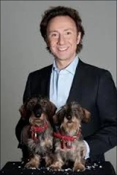 De quelle race sont les deux chiens de Stéphane Bern ?