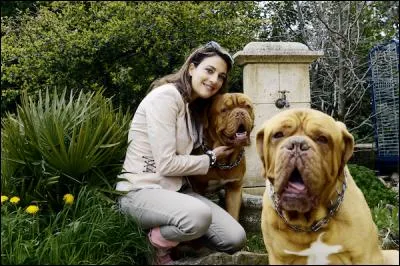 De quelle race sont les chiens d'Ève Angeli ?