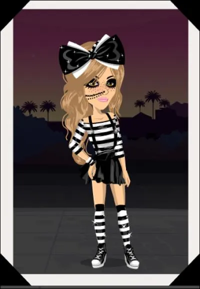 Comment appelle-t-on cette image ?