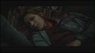 Qui a un bandage sur la tête dans "Harry Potter 7" ?