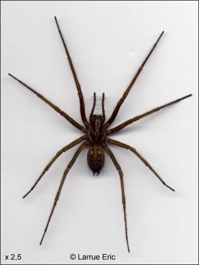 Quelle est sa plus grande peur ?