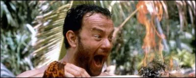 Pour quelle entreprise Chuck Noland travaille-t-il dans "Seul au monde" ?