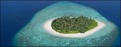 Qui n'a jamais incarné le célèbre héros de Daniel Defoe, Robinson Crusoe ?