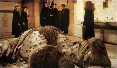 Quels élèves combattent le troll et sauvent Hermione ?