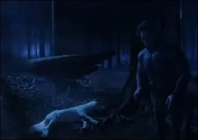 Qui a tué la licorne, a bu son sang et cherche la Pierre Philosophale ?