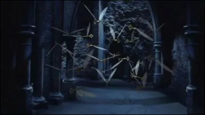 Quelles sont les épreuves que Harry et Hermione doivent traverser (d'abord avec Ron puis après sans lui) ?