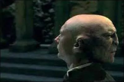 Avec qui Quirrell partage-t-il son corps ?